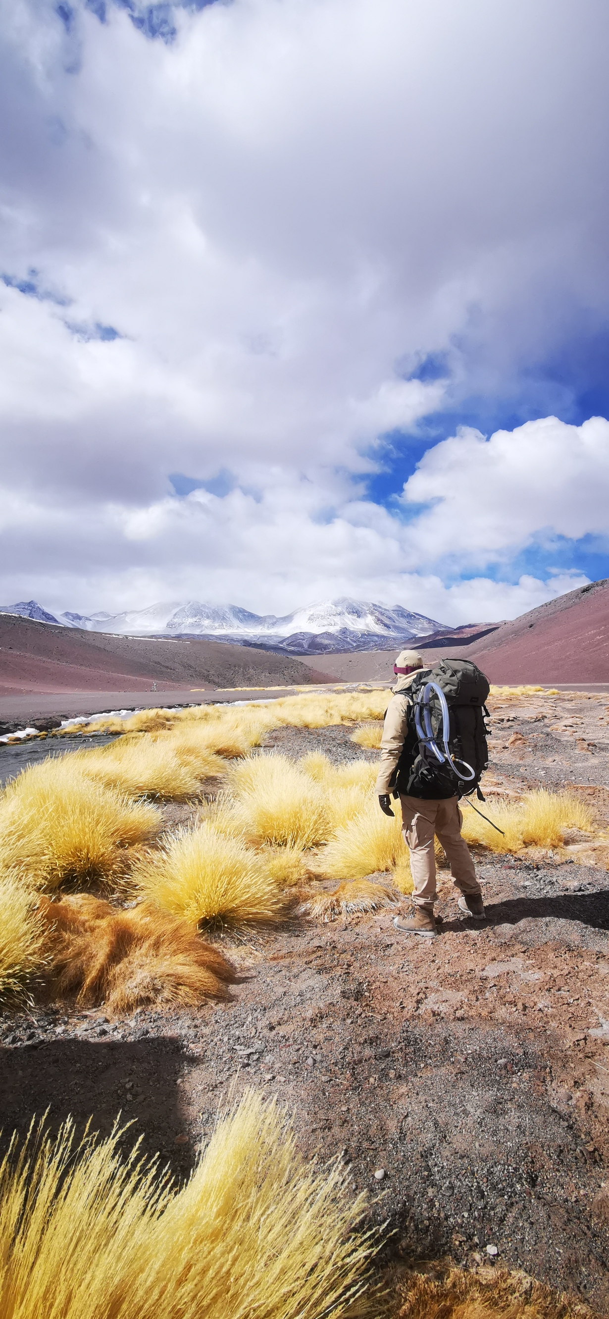 Wanderer in trockener Landschaft mit gelbem Gras und schneebedeckten Bergen im Hintergrund.
