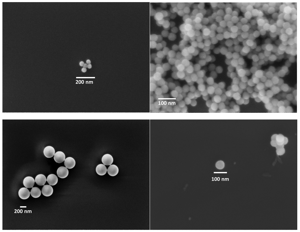 SEM images of the nanoparticles.